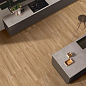 Maple Wood Sugar 60x120 ITC