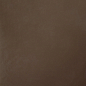 4956451 Architecture Dark Brown Gloss 60x60 Casalgrande Padana
