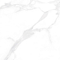 К60605 Statuario Grey Glossy 60x60 EVOtile фото в миниатюре 4