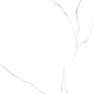 6060AMR00P Atlantic Marble 60x60 LCM