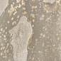 Bali Sand In&Out 29,5x60 New Tiles