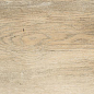 DAK82746 Saloon Beige 20x80 RAKO