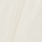 AIAO Anima Wonder Snow Liscio Matt 60x120 Caesar фото в миниатюре 10