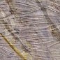 Vivid Red Louise Breeze 29,75x99,55 Aparici