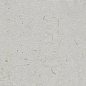 R0002309 Botanical Savia Rect. 30x90 Ibero фото в миниатюре 8
