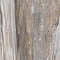 F918G10111 Tropical Glossy 90x180 FMAX