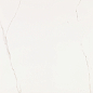 V57000731 Artic Nature 80x80 Venis