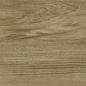 Alessandria Camel 19.5x120 Prissmacer