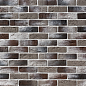 Декоративный кирпич Плоскость Орли 465 21,5x6,5x1 Leonardo Stone