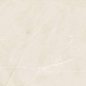 LU628354 Onice Reale Lucido 8mm 60x120 IRIS FMG