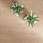 Wood 1A4 Imola Ceramica