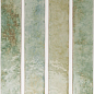 133176 Potters Agave 5x25 WOW