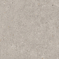SG653720R Риккарди серый светлый матовый обрезной 60x60 Kerama Marazzi