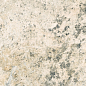 Bali Green In&Out 29,5x60 New Tiles