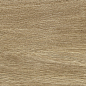 00R06P13 Woodglam Naturale 10x70 Ragno Marazzi