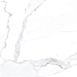 Statuario Oro PGVT 60x120 Casati Ceramica