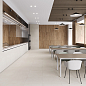 Betonica Crema PRO Laparet