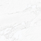 431 Calacatta 100x100 Eurotile Ceramica