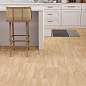 Forest StaroWood