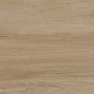 Alessandria Arce 19.5x120 Prissmacer