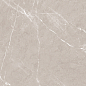 Pietra Grigio светло-коричневый матовый карвинг 60х60 Laparet