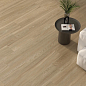 Concept Siena Matt 120x60 Keraben