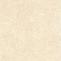 SandStone Песочный Матовый R10A Ректификат 9мм 60х120 Vitra