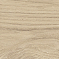 41728 Bloom Dune SP/24x151x0,9/R 24x151 Peronda
