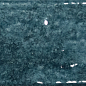 135400 Mediterraneo Mar Gloss 7x28 DNA Tiles