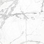 CR6014-A Diverso White Carving 60x60 Arcadia Ceramica фото в миниатюре 6
