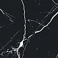 Atlantis Black Sugar Carving 60x120 Realistik