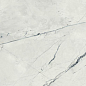 188644 Light Calacatta Satin 60x120 Dune