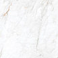 Arden White Velvet 60x120 Leopard