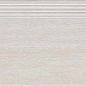 DCPSE030 Travertin 30x60 RAKO