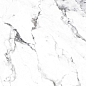 CR4006-A Borghini Silver Carving 60x60 Arcadia Ceramica