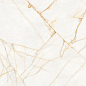 PF60017518 Supreme Hedonism Golden Spider Nat R 60x120 Flaviker
