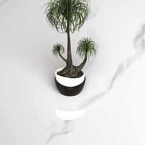 Statuario Paradise One Touch