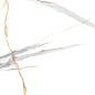 NTT99513M Maritaca Statuario Ultra White 60x120 NT Ceramic