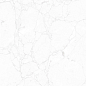 NTT995180M Impero Carving 60x60 NT Ceramic