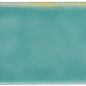 135385 CB O Water Gloss 5x15 WOW