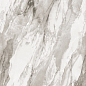Bergen Polished Silver Carving 60x120 Realistik