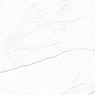 Royal Infinite White 120x60 Velsaa