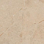 Camel Glossy 60x120 Art & Natura
