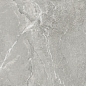 D60259M Wild Light матовый 600x600x9.5 New Trend