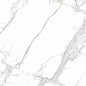 PR114 Arena White Polished 600x600 PrimaVera