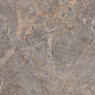 Miltonia Grey 60x120 Realistik