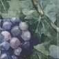 Monocolor Composicion Acuarela Uvas 20х40 Absolut Keramika