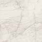 PF60015277 Tarsia Bianco Dolomiti Lux 3D Rett 120x120 Versace (Gardenia Orchidea)