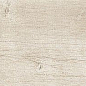 189003 Quercus Betulla 22x120 Dune