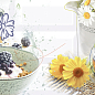 583012020 Декор Vogue Morning 2 20.1х40.5 Azori